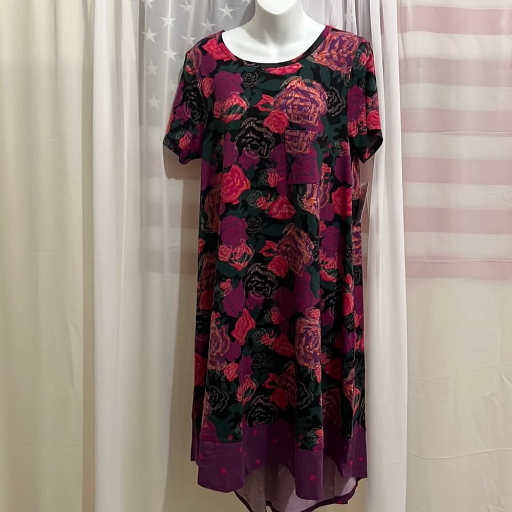 LuLaRoe Womens Carley Dress Size M